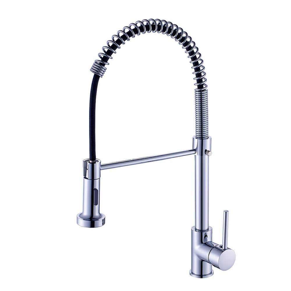 Single Handle Pull-Down Sprayer Kitchen Faucet with Dual Function Spray Hea