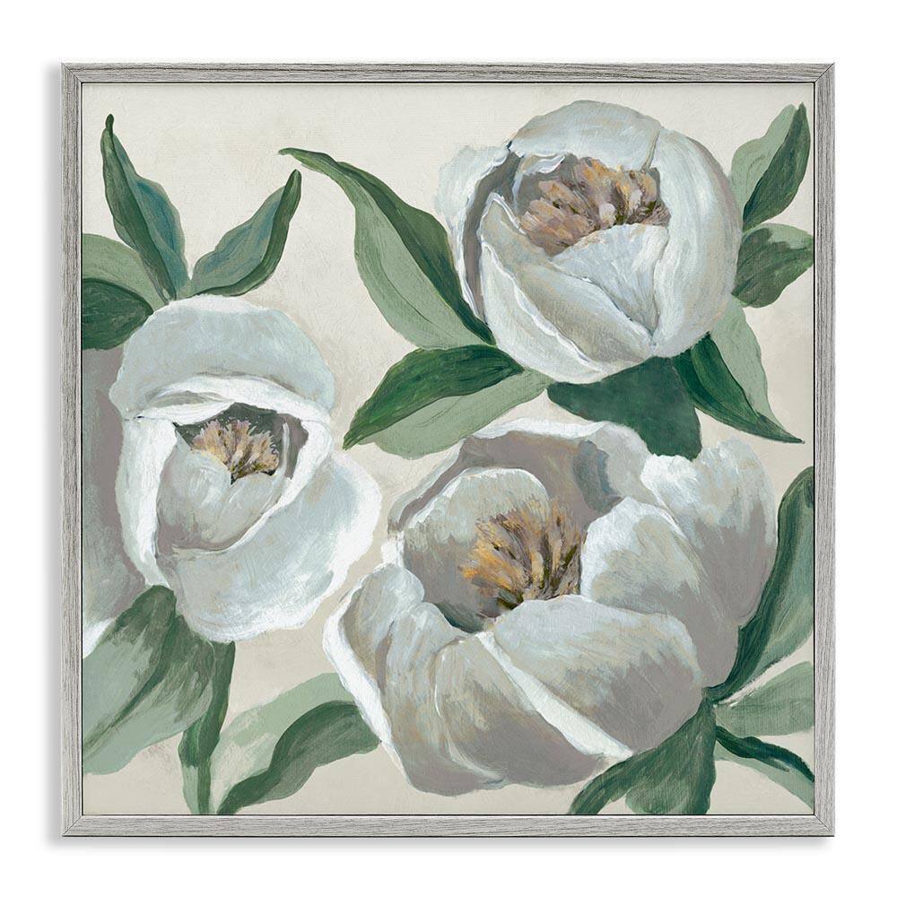 Round White Peonies by Jacob Q Gray Framed Nature Giclee Art Print 12 in. x 12 in. price history on PriceWatchPro