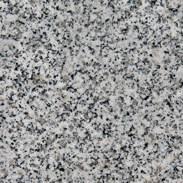 Home Decorators Collection 4 in. x 4 in. Granite Vanity Top Sample in Rushmore Grey