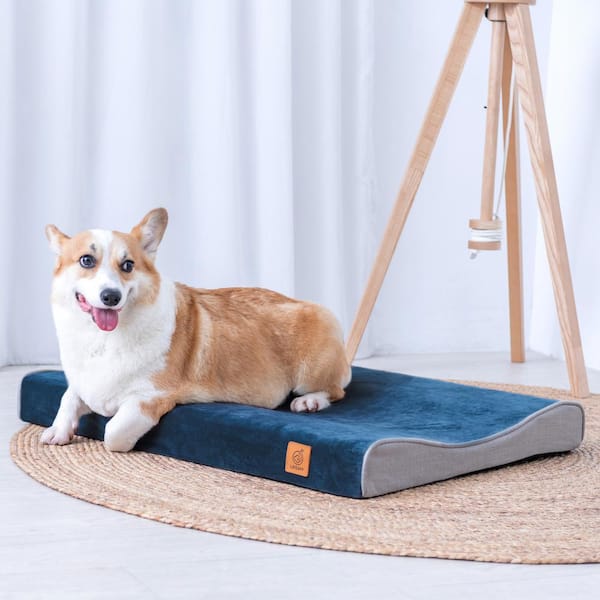 breathable dog bed