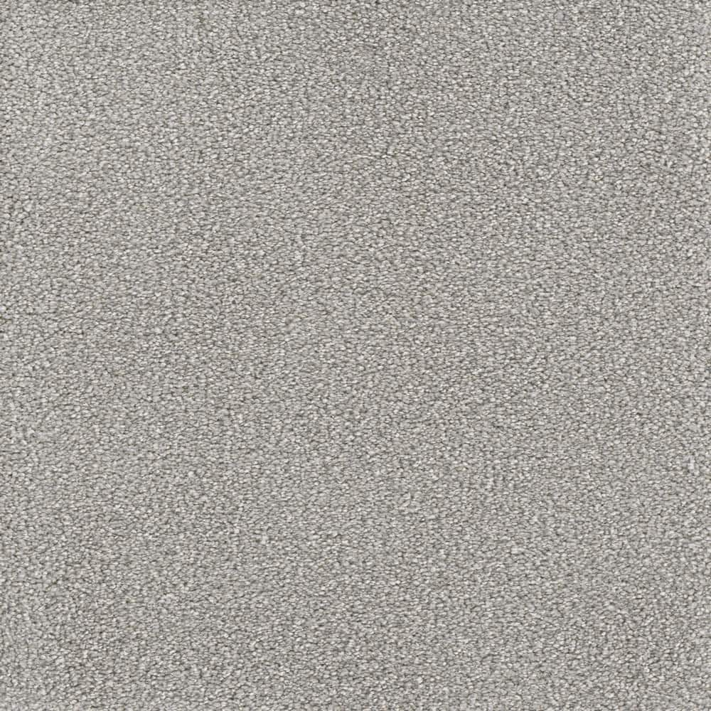 Home Decorators Collection 8 in. x 8 in. Texture Carpet Sample ...