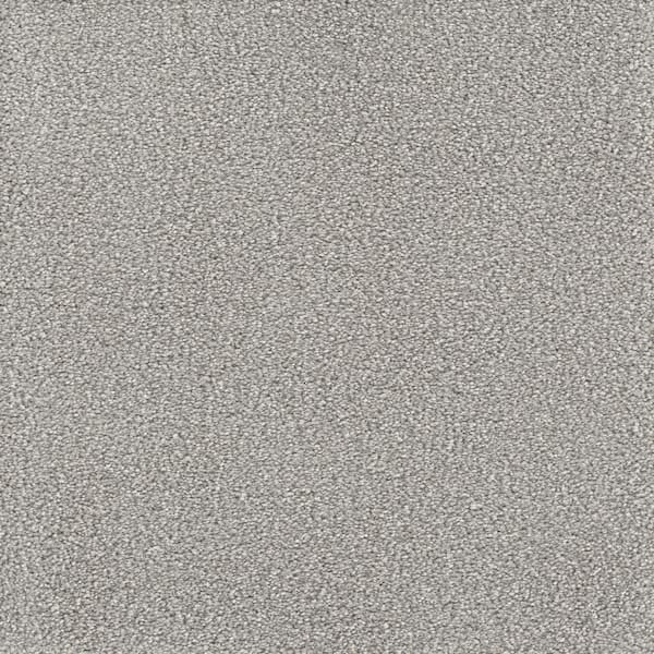 Home Decorators Collection 8 in. x 8 in. Texture Carpet Sample ...