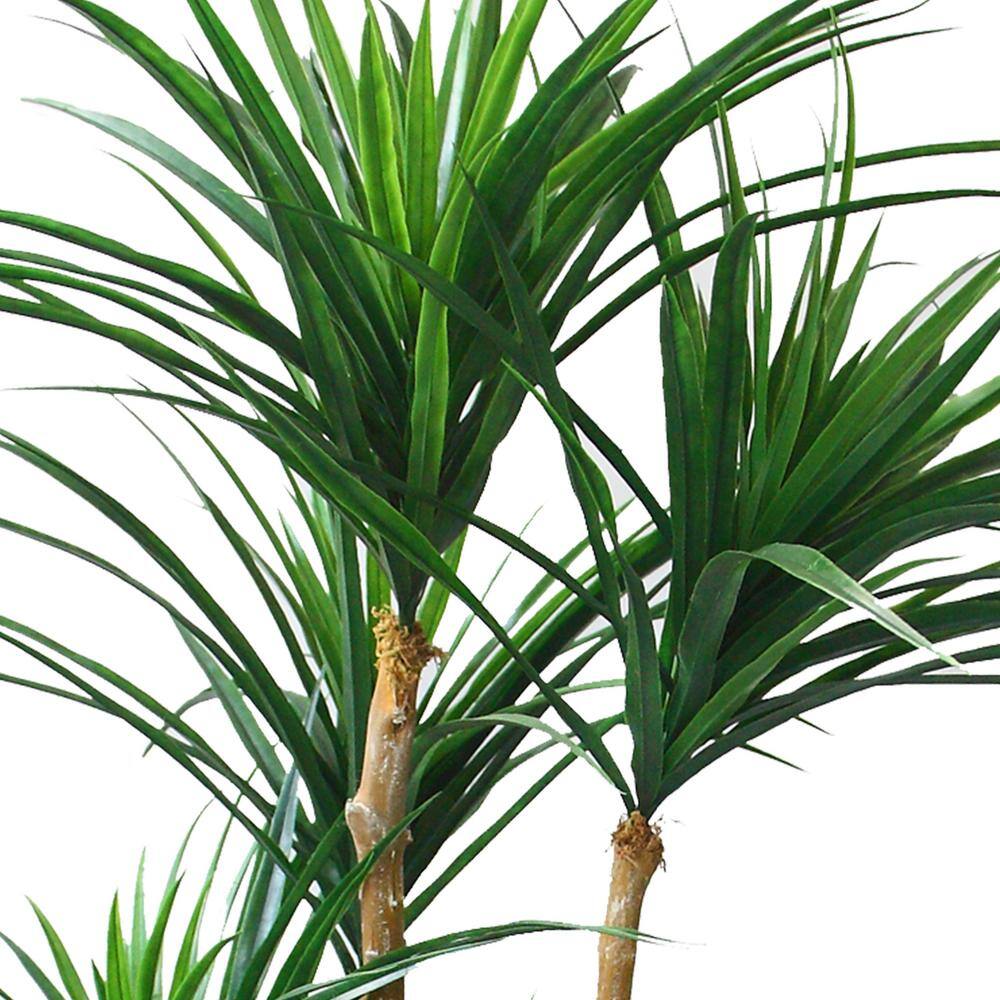 51" Green Tropical Yucana Artificial Tree in Black Plastic Pot