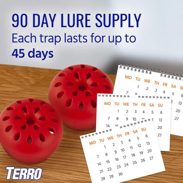TERRO Fruit Fly Trap with Bait (2-Pack) T2503SR - The Home Depot