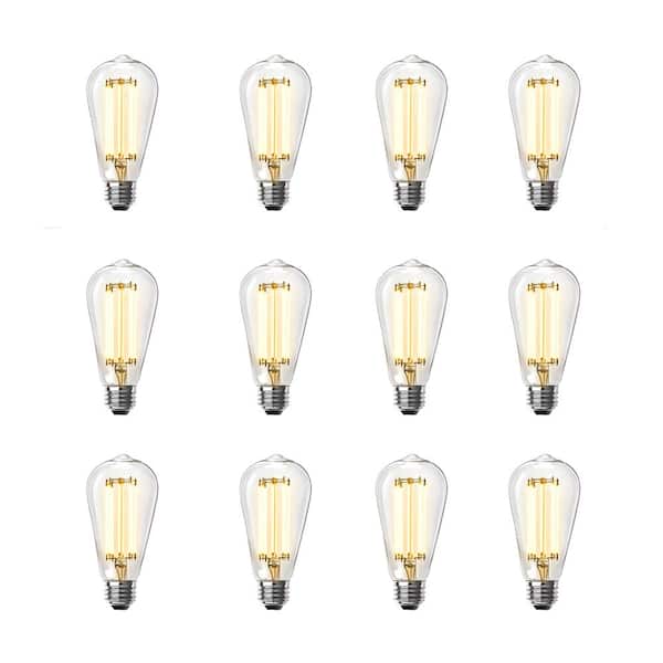 Feit Electric 100-Watt Equivalent ST19 Dimmable Straight Filament Clear Glass Vintage Edison LED Light Bulb, Warm White (12-Pack)