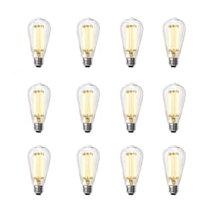100-Watt Equivalent ST19 Dimmable Straight Filament Clear Glass Vintage Edison LED Light Bulb, Warm White (12-Pack)