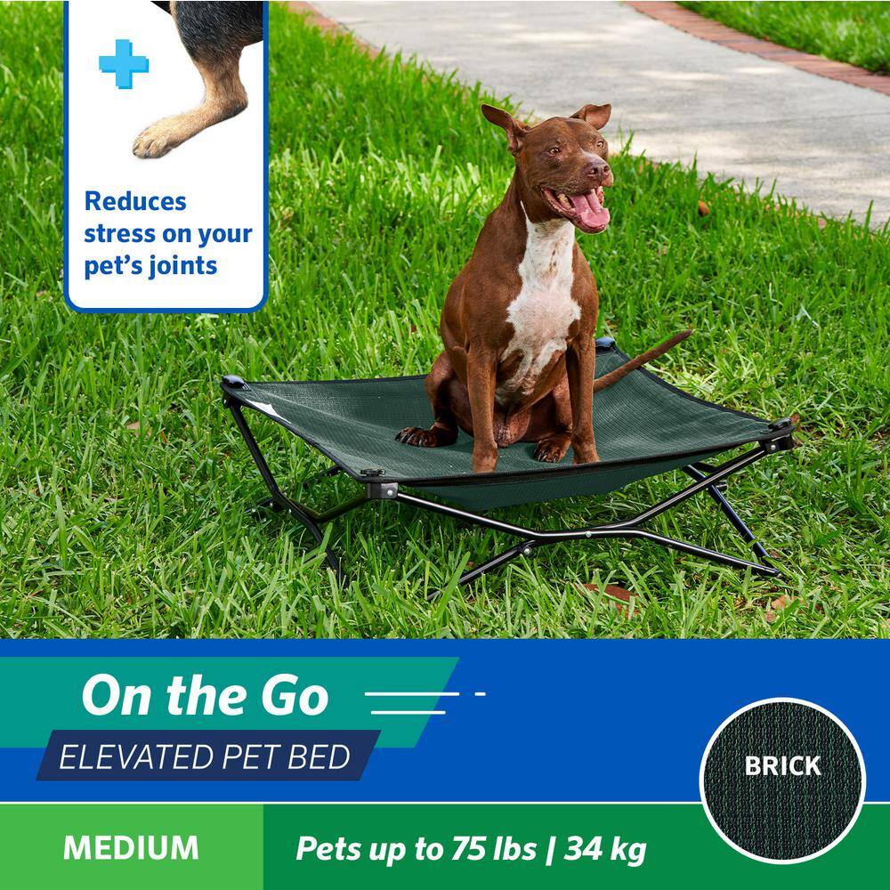 Medium Green Elevated Folding Pet Bed with Steel Frame