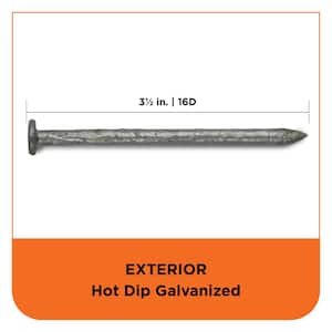 3-1/2 in. (16D) Hot Dipped Galvanized Smooth Common Nail 1 lb. (45-Count)