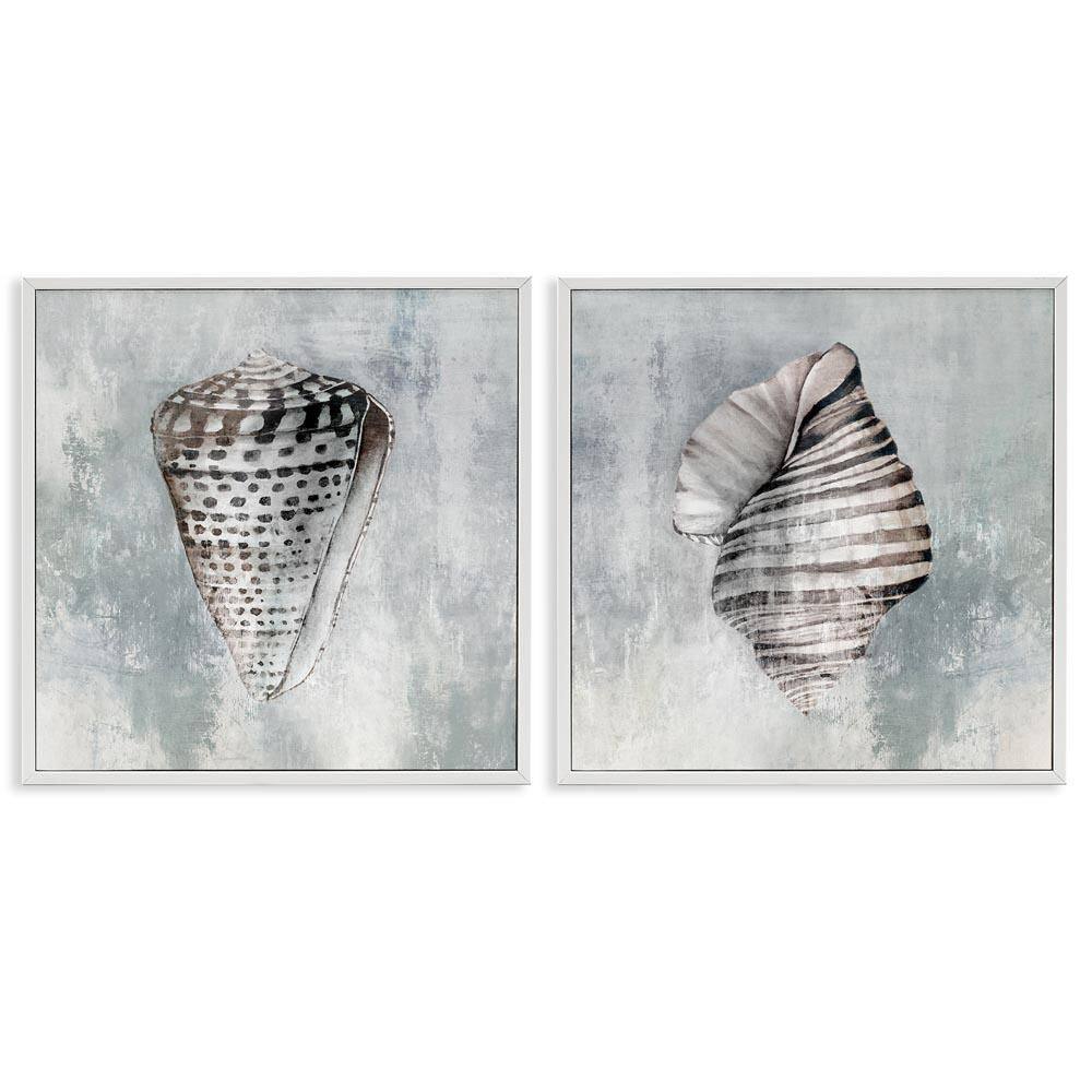 Grey Distressed Cowrie Shells by Eli Jones 2 Pieces White Framed Coastal Giclee Art Print 12 in. x 12 in. price history on PriceWatchPro