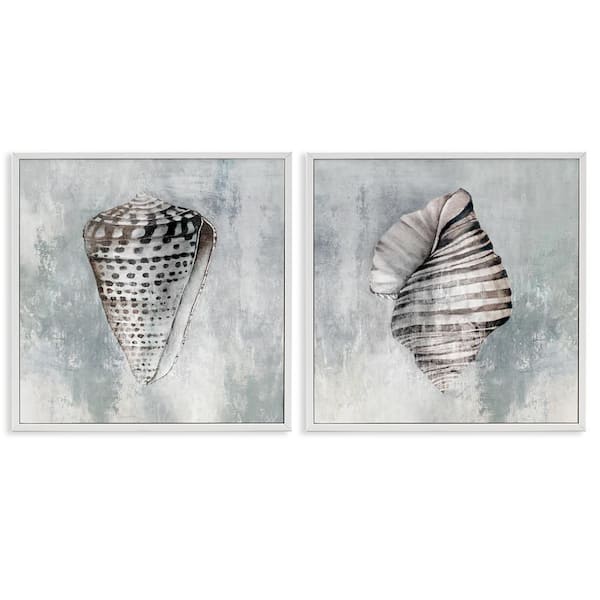 Stupell Industries Grey Distressed Cowrie Shells by Eli Jones 2 Pieces White Framed Coastal Giclee Art Print 17 in. x 17 in.