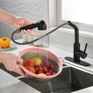 Single Handle Gooseneck Pull Down Sprayer Kitchen Faucet with Deckplate in Black