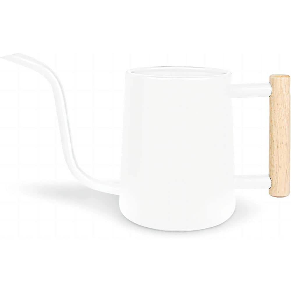 Watering Can Indoor Plants, 35 oz./1000 ml Metal Stainless Steel Watering C