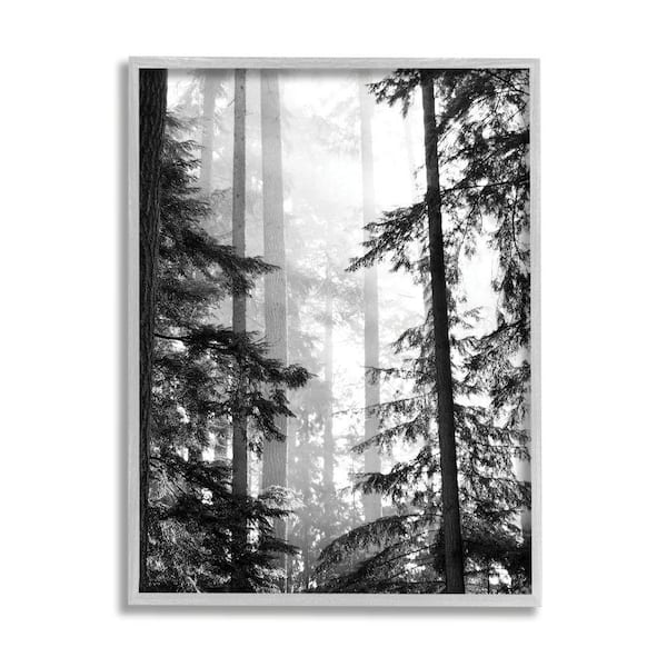 Stupell Industries Forest Light Shining Trees Landscape Photography By Gail Peck Framed Print Nature Texturized Art 11 in. x 14 in.