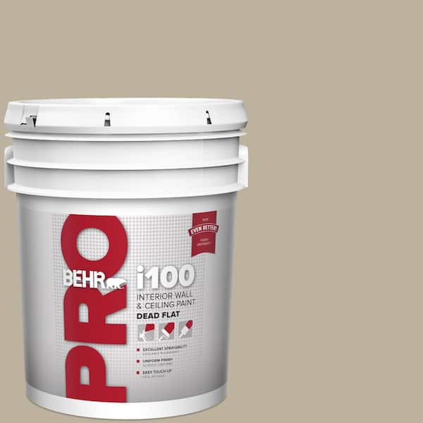 5 gal. #750D-4 Pebble Stone Dead Flat Interior Paint