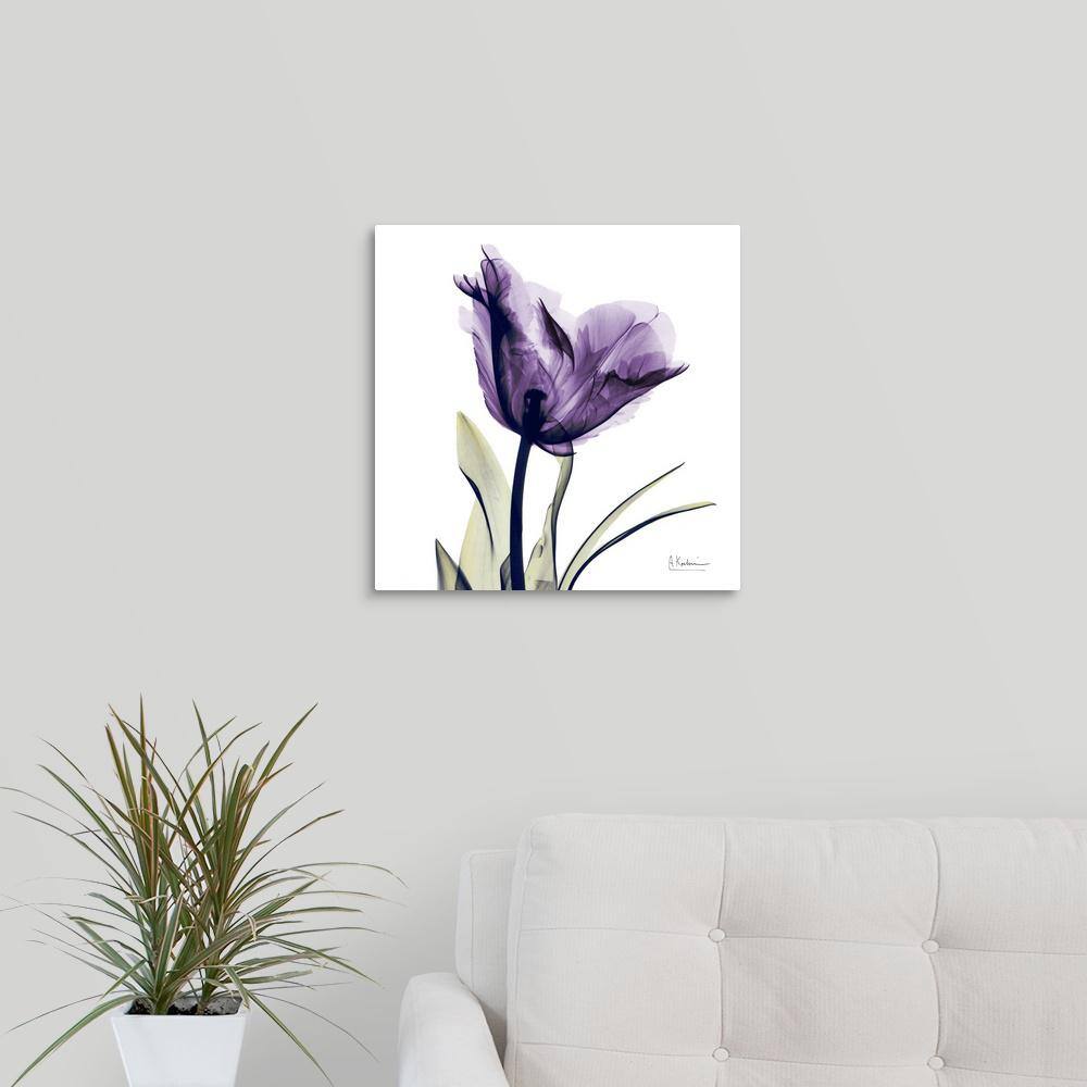 Purple Flower by Albert Koetsier Canvas Wall Art price history on PriceWatchPro