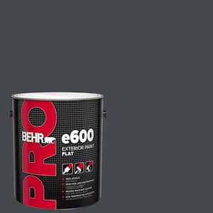 1 gal. #N490-7 Ink Black Flat Exterior Paint