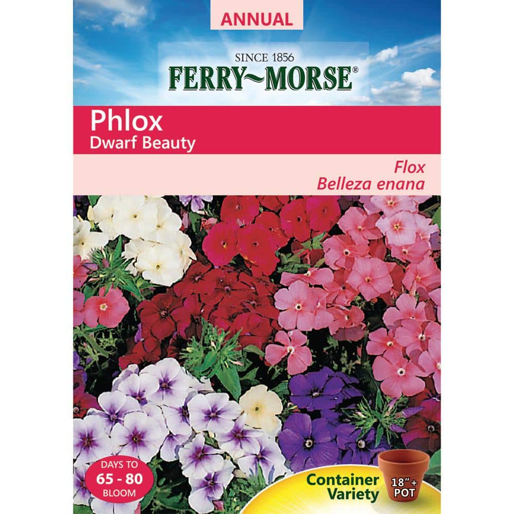 cotton gardening gloves Mid Rise | Gardening Gloves | Dewdrop