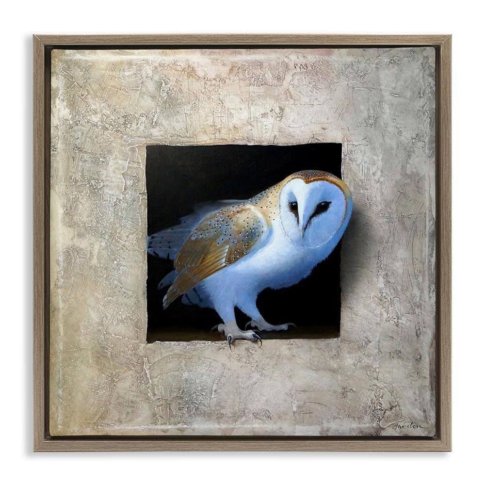 Mysterious Barn Owl Peering by Alan Weston Brown Floater Frame Graphic Art Print Animal 25 in. x 25 in. price history on PriceWatchPro