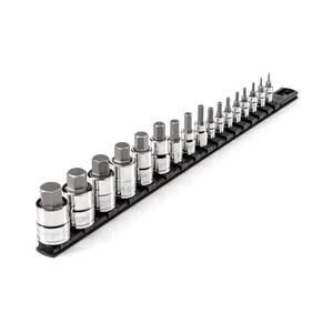 1/4,3/8,1/2 in. Drive Hex Bit Socket Set with Rail, 17-Piece (5/64-3/4 in.)