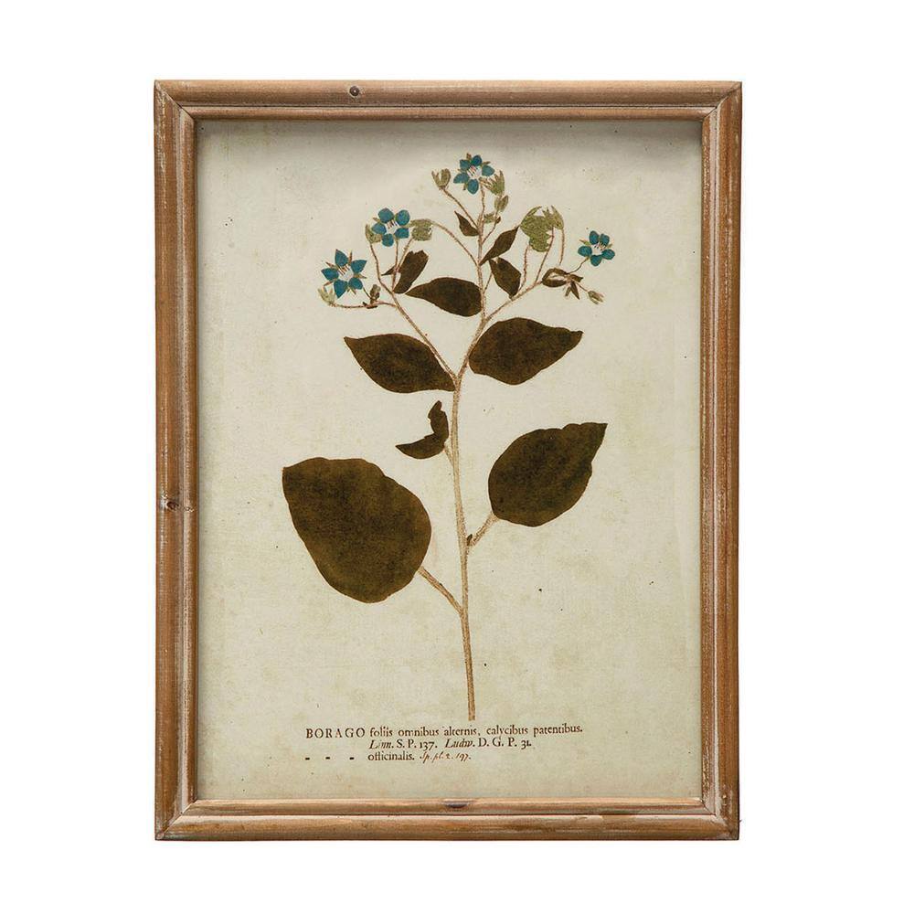 Vintage Botanical Print Set in Wood Frames, 10" x 13"
