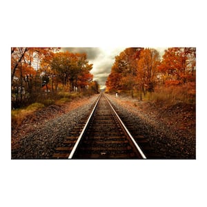36 in x 60 in. "Autumn Rails" Tempered Glass Wall Art