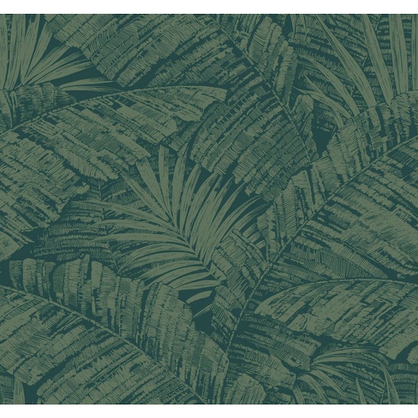 York Wallcoverings Palm Cove Toile Emerald Forest Wallpaper Roll