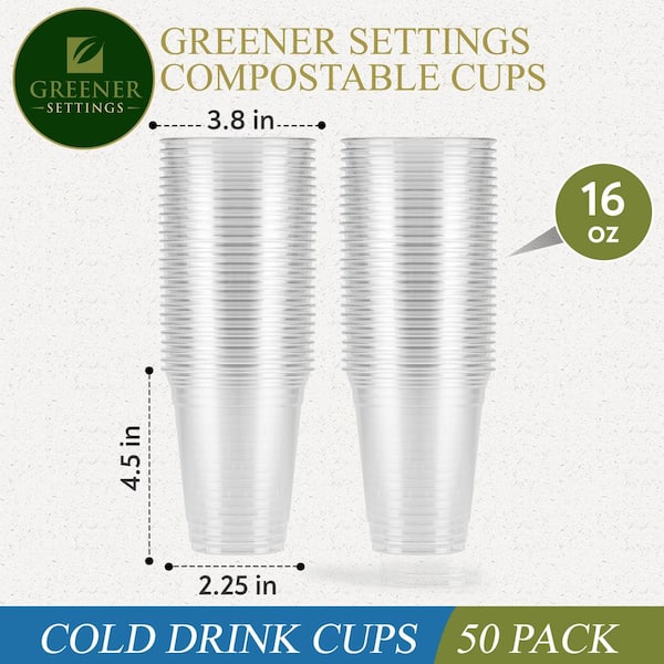 96 Count Disposable Plastic Cups Everyday Use Red Party Cups Strong Sturdy  16 Oz