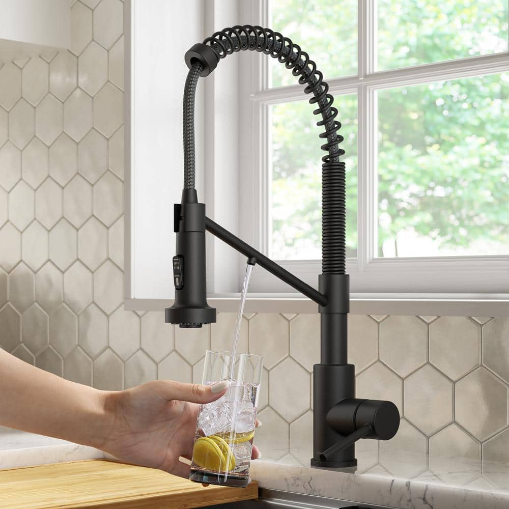 Matte Black 2-in-1 Pull-Down Kitchen Faucet with Water Filter