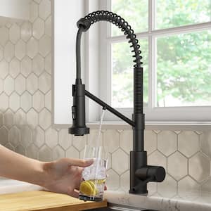 Bolden Single-Handle , Pull-Down Sprayer Kitchen Faucet Water Filtration System in Matte Black