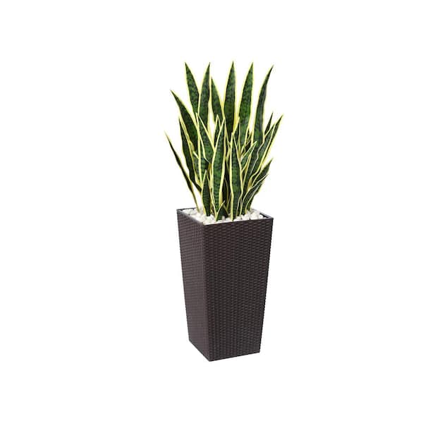 4 ft.UV Resistant Artificial Yellow Snake Plant with Tall Brown Planter for Indoor Outdoor Home Decor