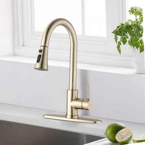 Bong Single Handle Pull Down Sprayer Kitchen Faucet with Deckplate Included in Brushed Gold