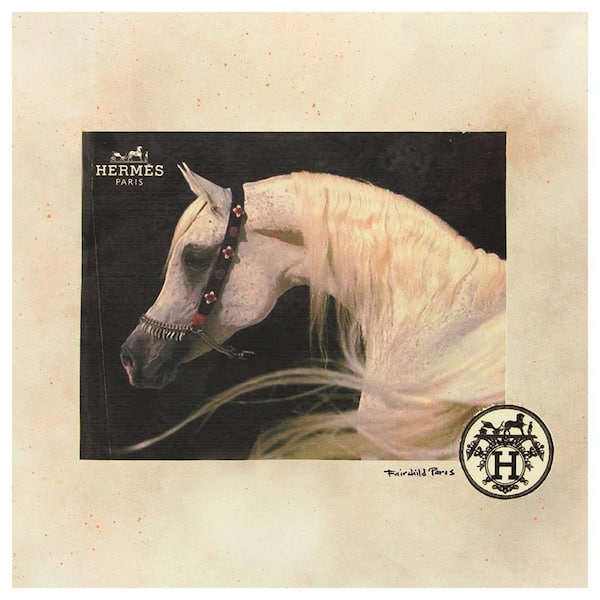 VENICE BEACH Collections Beautiful Fashion White Horse by Fairchild Paris 1 Piece Unframed Canvas Drawing Print 30 in. x 30 in.