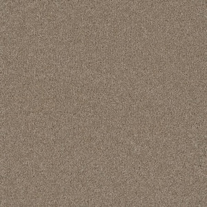 Misty Meadows I- Alpine Beige - 45 oz. SD Polyester Texture Installed Carpet