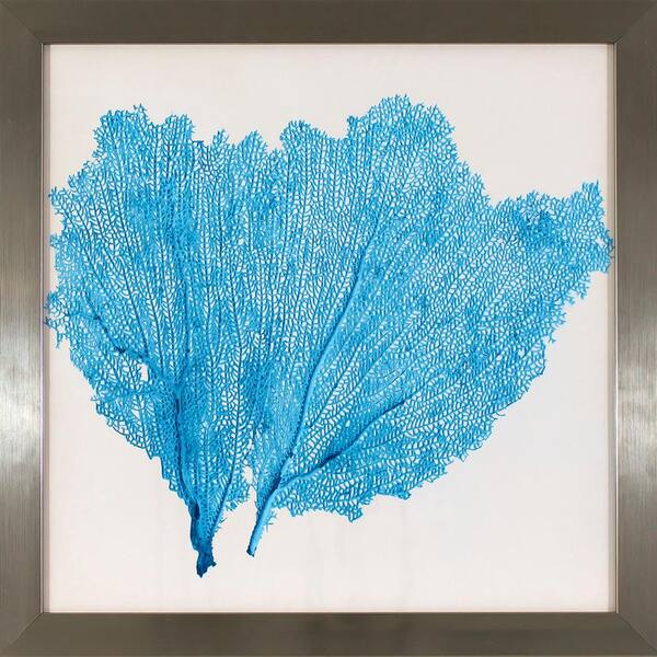 Decor Therapy 17.75 in. x 17.75 in. Blue Sea Fan Study Printed Framed Wall Art