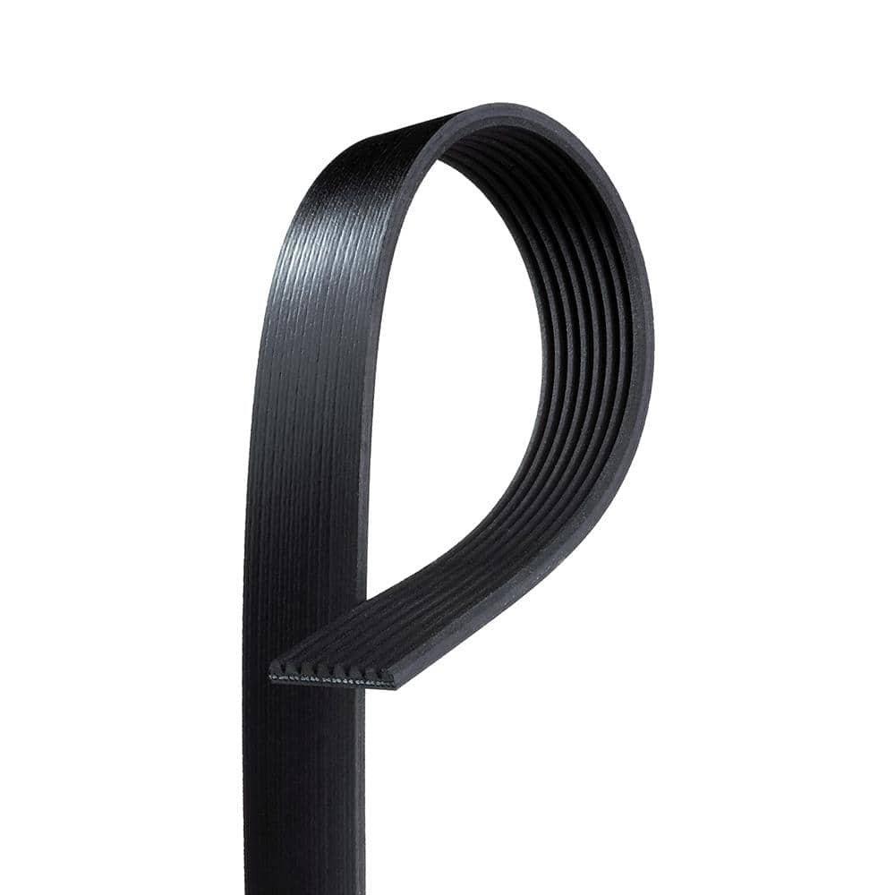 Standard Serpentine Belt price history on PriceWatchPro