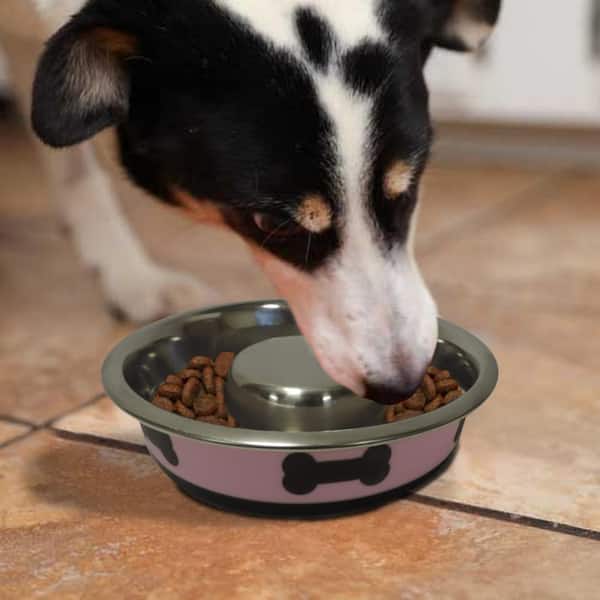 https://images.thdstatic.com/productImages/6f47286b-e0e8-4bf0-84f3-cf93086bc63d/svn/boomer-n-chaser-dog-food-bowls-bnc-10011-31_600.jpg