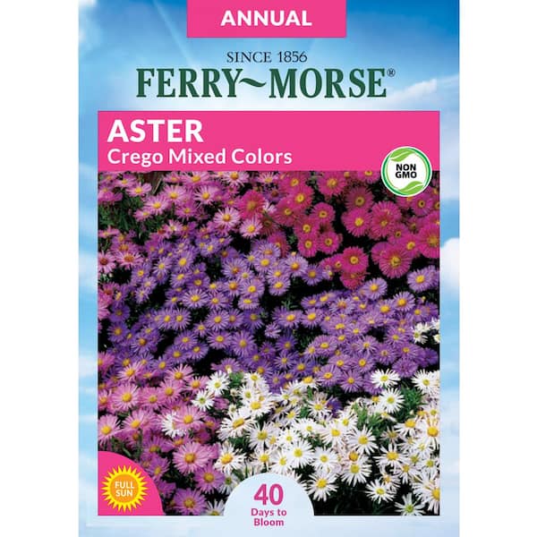 Ferry-Morse Aster Crego Mixed Colors Flower Seed