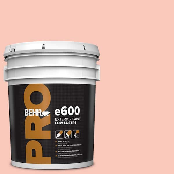 BEHR PRO 5 gal. #P180-2 Sherbet Fruit Low Luster Exterior Paint