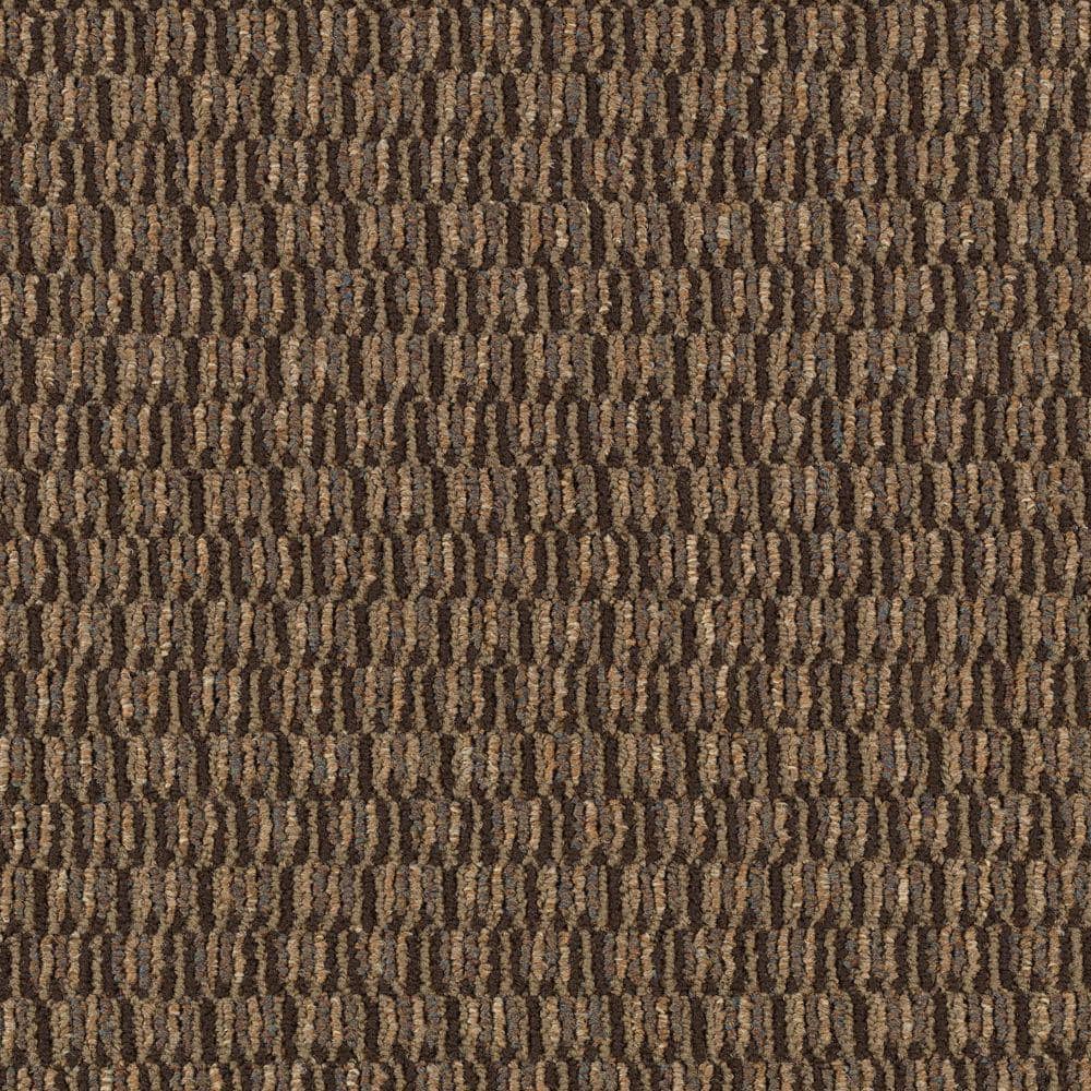 8 in. x 8 in. Loop Carpet Sample - Social Network I -Color Tree Bark price history on PriceWatchPro