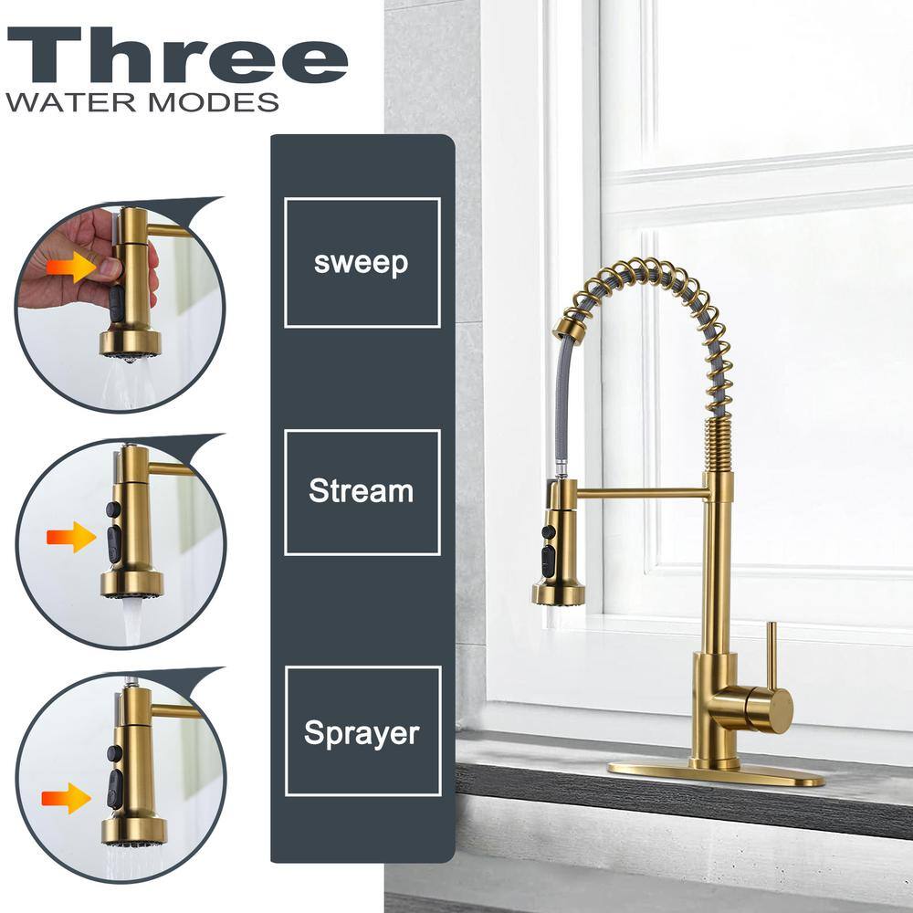Gold Stainless Steel Pull Down Kitchen Faucet with Spray