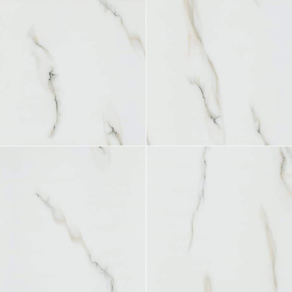 Alvara Bianco 24 in. x 24 in. Polished Porcelain Floor and Wall Tile (640 sq. ft./Pallet) price history on PriceWatchPro