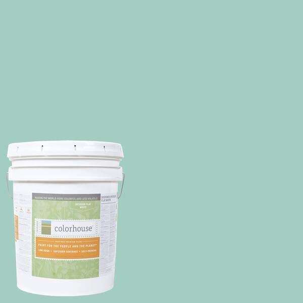 Colorhouse 5 gal. Water .07 Flat Interior Paint