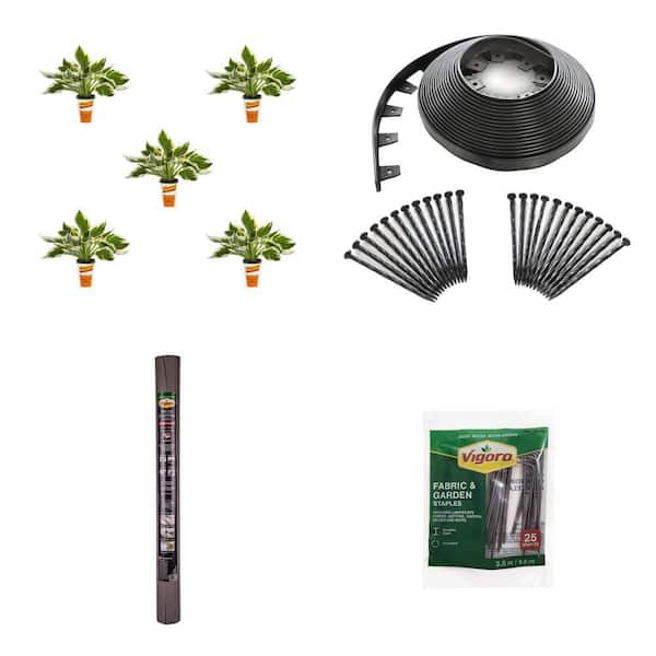 5 Qt. Hosta Plant (5-Pack), 60 ft. Edging Kit, 4 ft. x 100 ft. Weed Fabric and 3.5 in. Staples (25-Pack) Combo