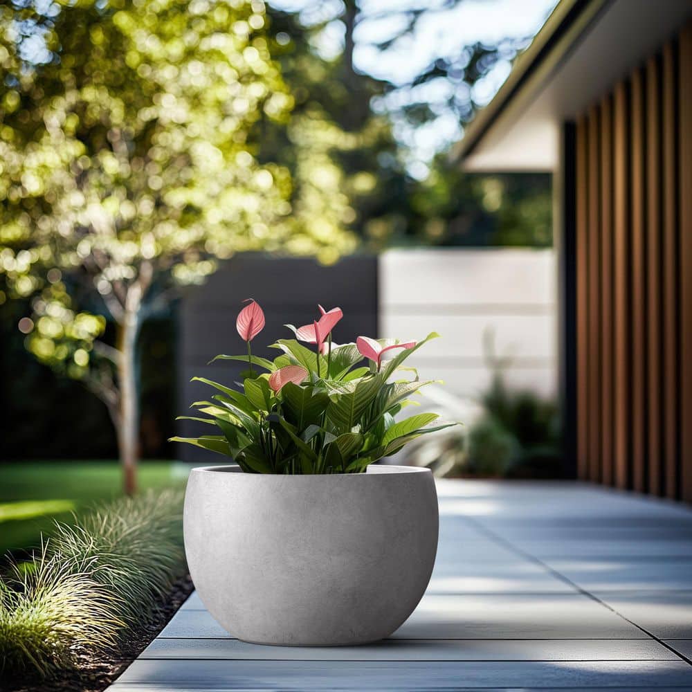 NEIGHBORHOOD SRL ROUND PLANT POT 鉢 S M L