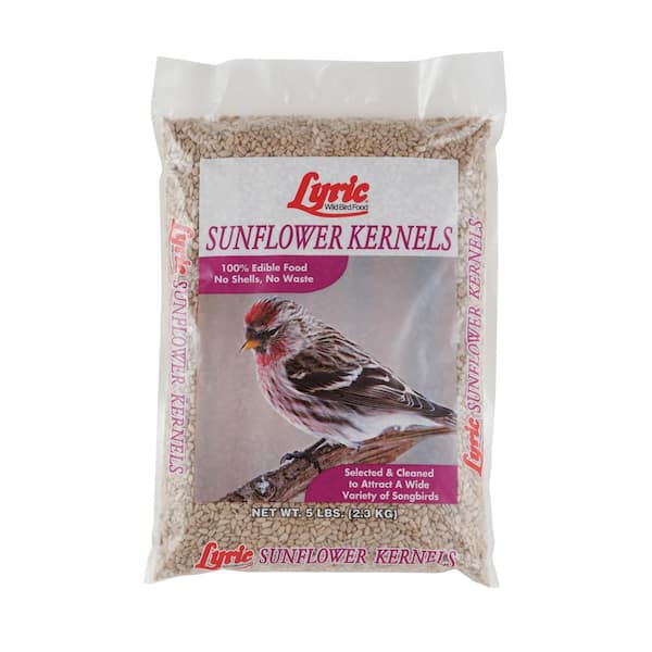 Lyric 5 lb. Sunflower Kernels