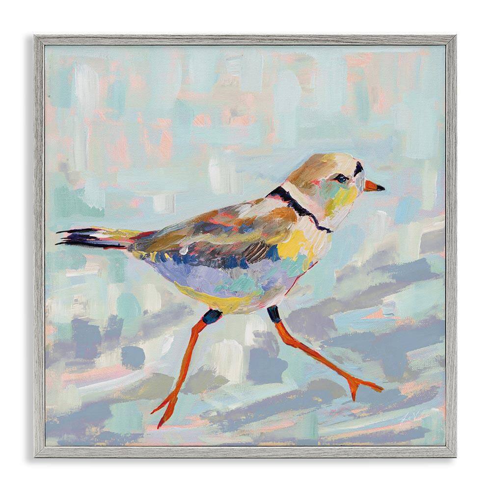 Coastal Plover Abstract Bird by Jeanette Vertentes Gray Framed Giclee Art Print Animal 12 in. x 12 in. price history on PriceWatchPro