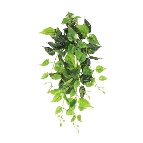 24 in. Artificial Pothos Ivy Leaf Vine Hanging Plant Greenery Foliage Bush