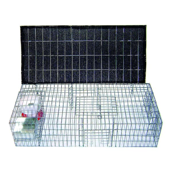Bird B Gone Pigeon Trap with Shade, Food & Water Containers (35 in. x 16 in. x 8 in.)