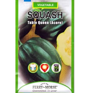 Squash Table Queen Acorn Seed