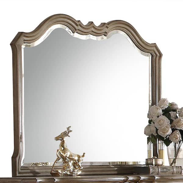 Acme Furniture Chelmsford 2 in. x 39 in. Modern Irregular Framed Antique Taupe Decorative Mirror